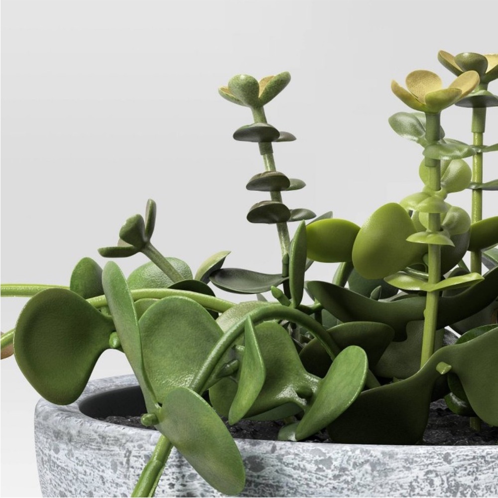 STUDIO MCGEE NWT trailing sedum faux plant -10” - Picture 6 of 6